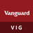 VIG